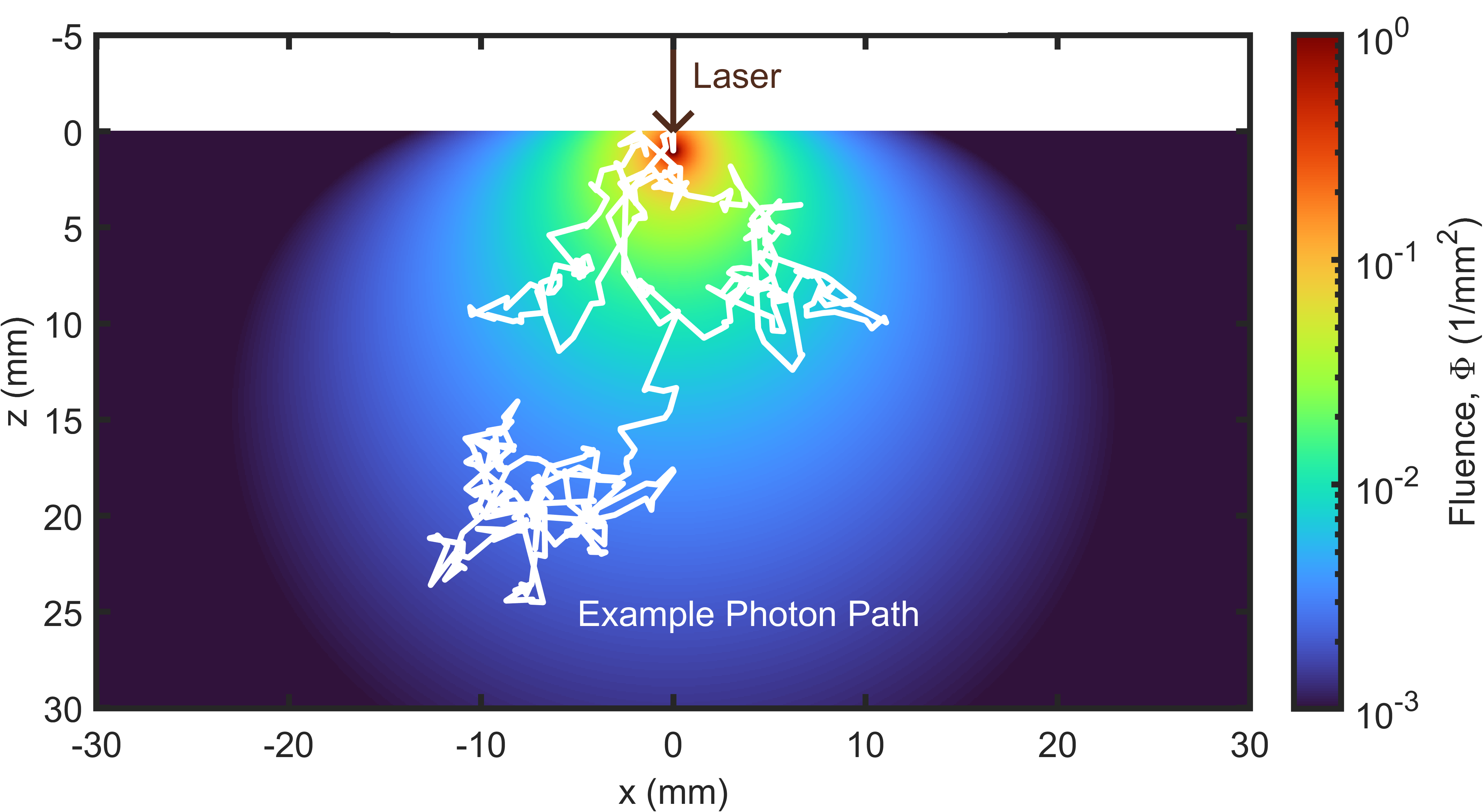Simulated photon fluence rate distribution in a diffuse medium, with a white line tracing one possible random photon path.